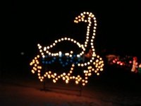 photos 2000-200902157